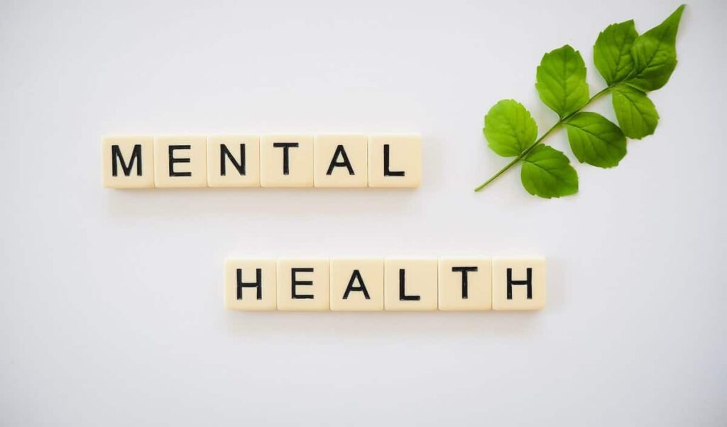 Visual representation of mental health and nature.